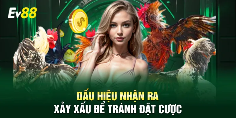 Dấu hiệu nhận ra xảy xấu để tránh đặt cược
